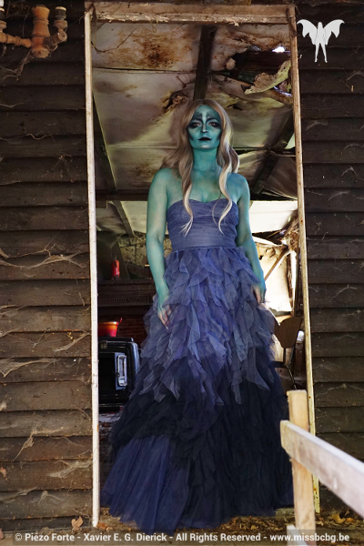 Miss BCBG Eva